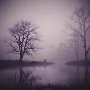 Entity of the Fog by @realdaddydur