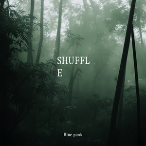 SHUFFLE(伤感说唱)