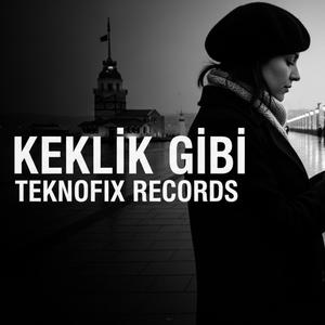 Keklik Gibi | (Official Audio) - Anadolu Türküleri