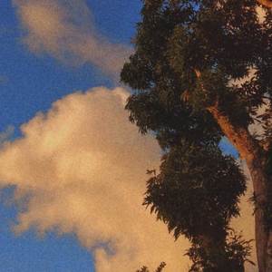 Biawak Gank - Silence Remix