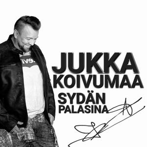 Sydän palasina