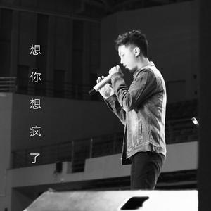 想你想疯了
