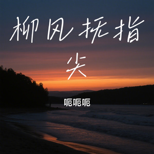 柳风抚指尖