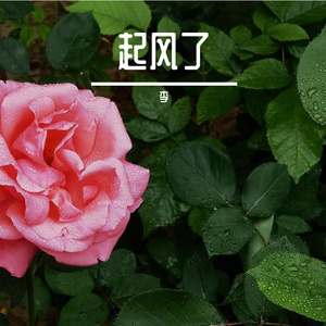 宄¤胺涓庡洖闊