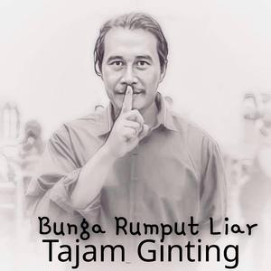 Pagi di Pematang
