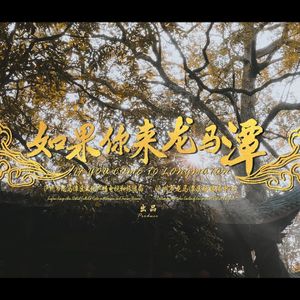 如果你来龙马潭