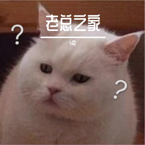 天上飞（片段）