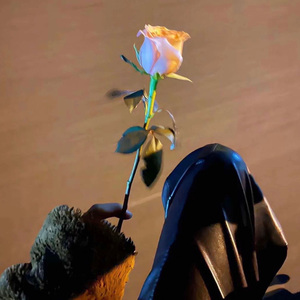 口水旋律（抖音热播版）