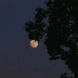 武器 (Prod.Gr33nartBeats)