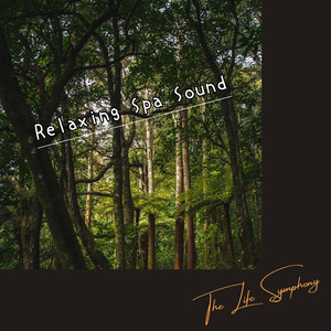 Renaissance of the Soul