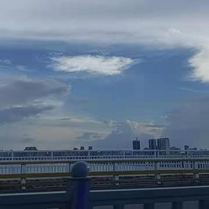 只愿君心似我心