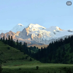 讲不出再见 (港风女声版)
