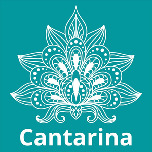 Un Universo Perfecto