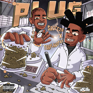 Plug