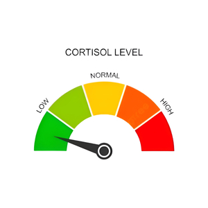 low cortisol