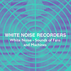 White Noise Fan in Food Market