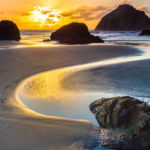 猫猫给出了差评