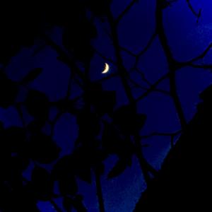 0% Midnight（Explicit）