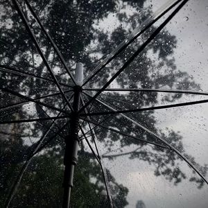雨（prod.lucien）