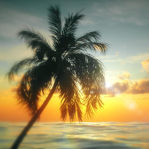 风吹一夏（x0.9）