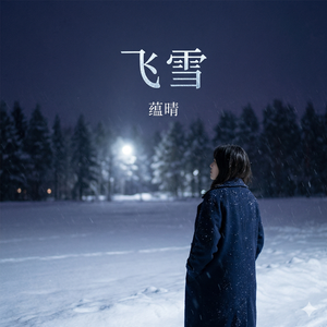 飞雪