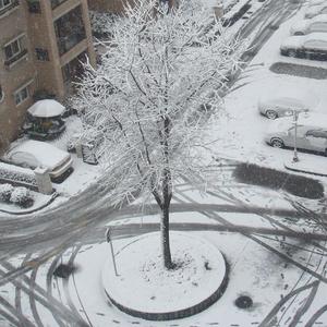 Froggy-上海下雪了，我想在你身边 (画家 remix）