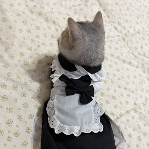 你最擅长说没事