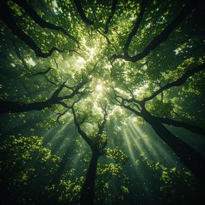 Awakening Calmness