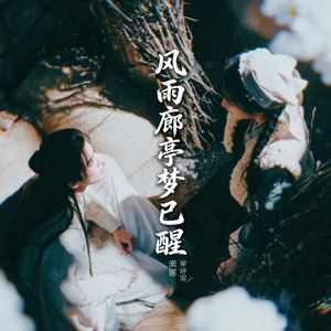 风雨廊亭梦已醒