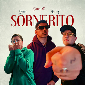 Sornerito