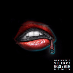 Silence (Facade & Varun Remix)