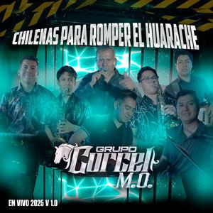 El Cotorrito (En vivo)
