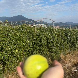 我算什么让你这样对我