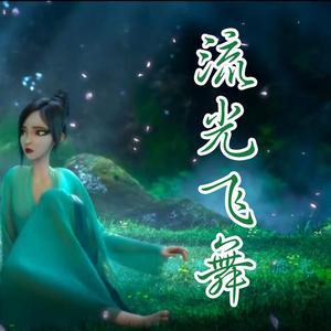 流光飞舞（翻自 刘惜君）