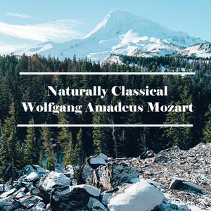 Piano Sonata No.7 in C, K.309, 2. Andante, Un Poco Adagio