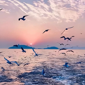 星河不及你 (DJ旋律)