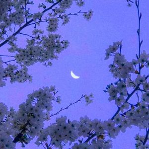 宠溺&春宵 - 秘密 [mqms2]