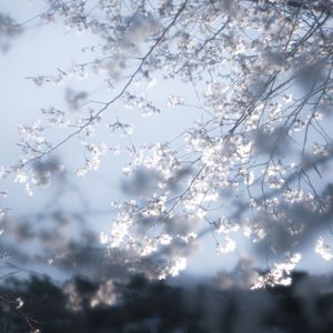 祝你我都有转身离开的勇气