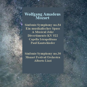 A Musical Joke in F Major, Op. 93, K.522:II. Menuetto maestoso