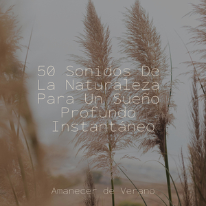 Melodía Melancólica de Brasas