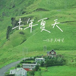 去年夏天（cover王大毛）