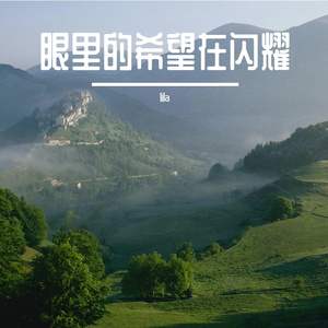 夜的质量