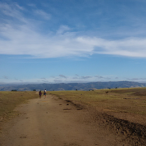 Vai à presença do Pai