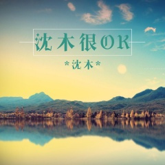 枕风宿雪多年 (DJ版)