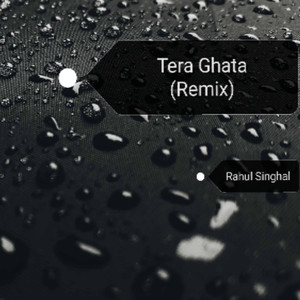 Tera Ghata (Remix)
