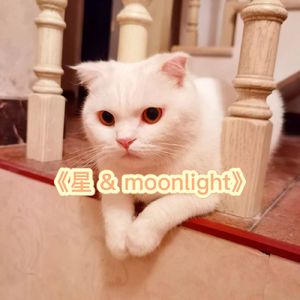 星 & moonlight（ProdEVOMUSIC）