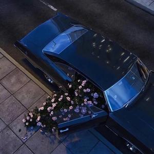 那天我在等风来