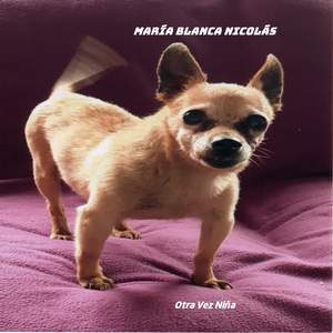 Sapo loco