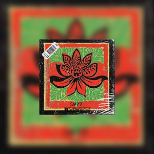 免费可商用 |“3977”-贝贝 X afro drill类型伴奏