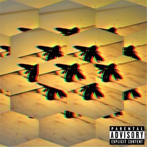 CICUTA (Acoustic Version)